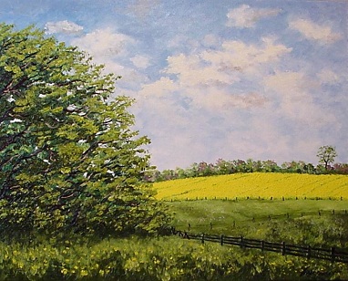 Rapsfeld