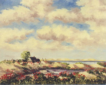 D�nenlandschaft bei Kampen (Sylt)