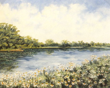 Am See