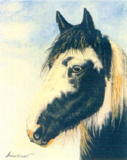 Gem�lde Pferd