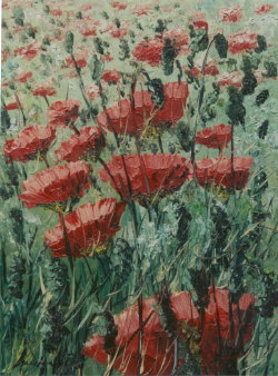 Mohnblumenfeld